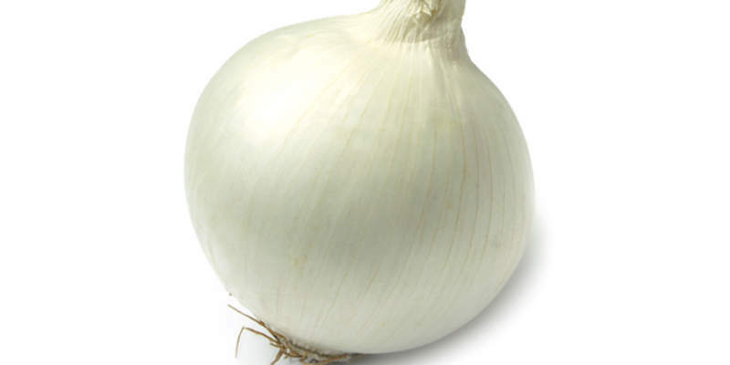 Onion Butts Com