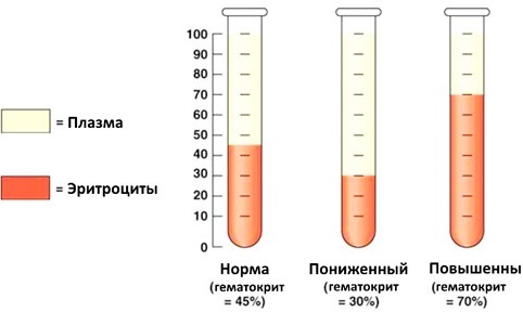Hematocrit. The norm in women by age, the table of what it is, below, above the norm