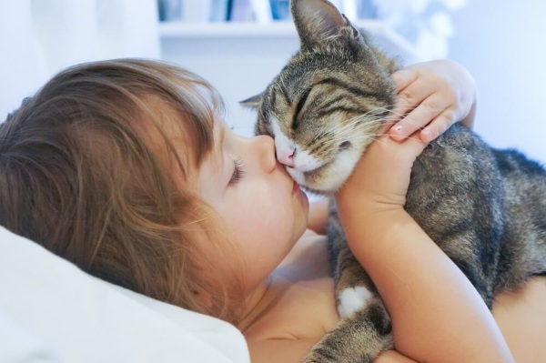 Toxoplasmosis in children. Symptoms, treatment, clinical guidelines