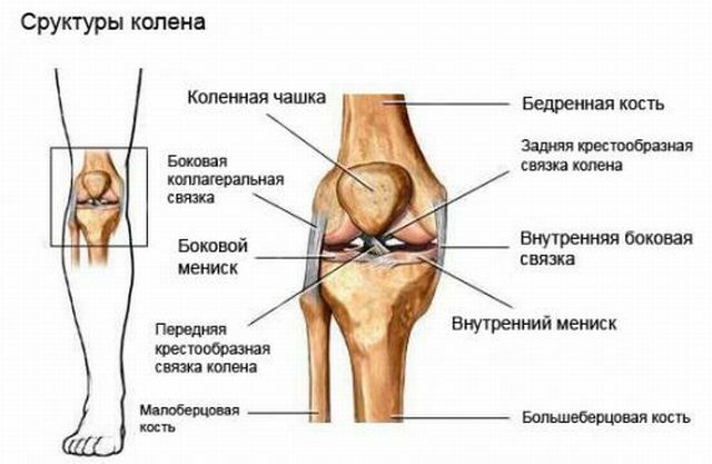 Hvorfor knæ og benområde svulmer over og under leddet