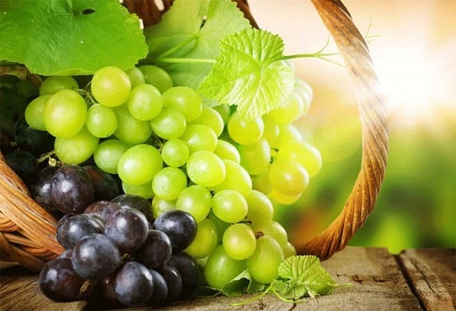 Uvas para gastrite: é possível ter, com elevada acidez do estômago, durante a exacerbação