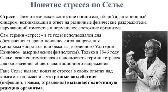 Селье ввел понятие. Теория Ганса Селье. Концепция стресса г.Селье. Ганс Селье стресс. Теория стресса Селье в психологии.