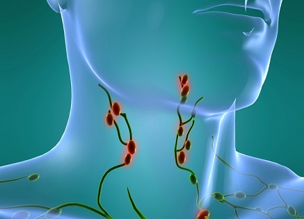 Mărimea glandei tiroide este normală pentru ultrasunete