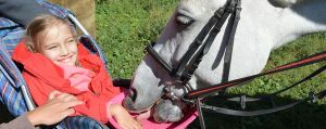 Hippotherapy - tratamento e reabilitação com a ajuda de cavalos