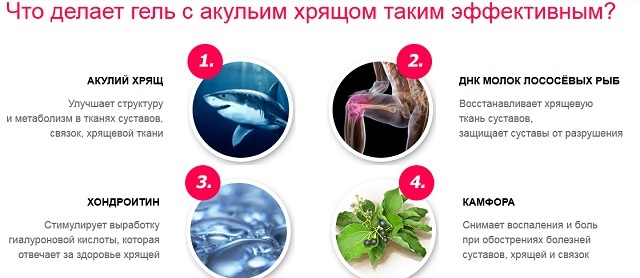 Composition of shark cartilage ointment