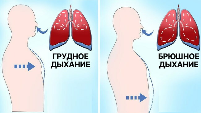 The types of breathing in women, men are normal: chest, abdominal