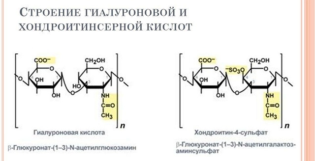 Wzory dla kwasu hialuronowego i chondroityny kwasu siarkowego