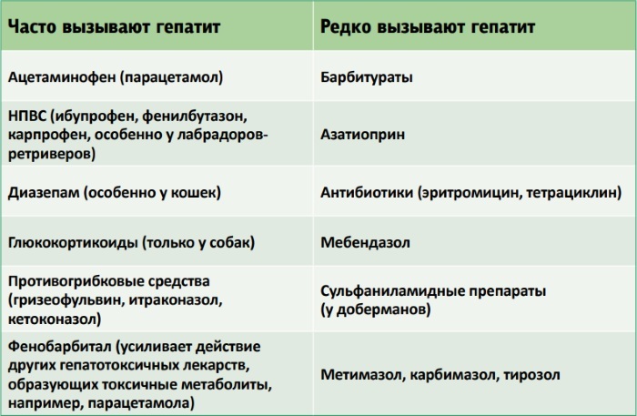 Toxic hepatitis. What is it, symptoms, treatment, clinical guidelines