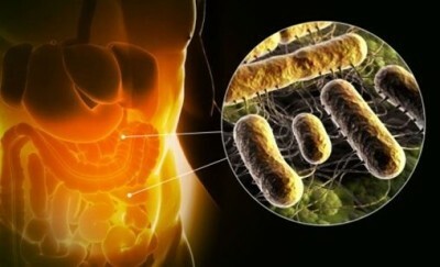 Dysbactériose de l'intestin chez les adultes - symptômes, signes, traitement