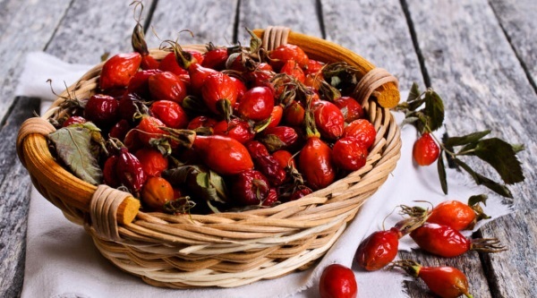 Rose hip. Benefits and harm to the body of a child, an adult