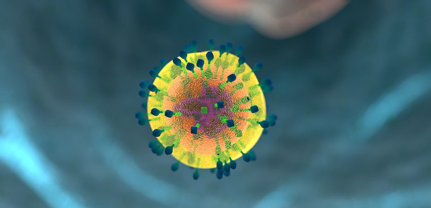 gripo virusas