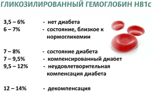 Glikēts hemoglobīns. Norma sievietēm pēc vecuma. tabula