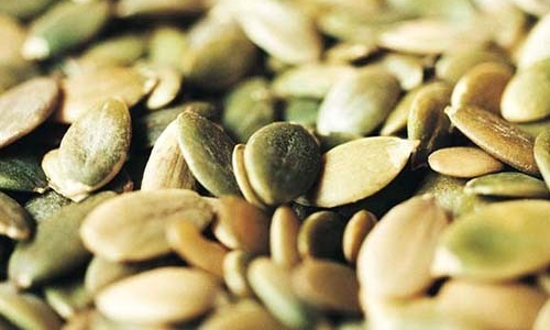 Cómo curar una prostatitis con semillas de calabaza