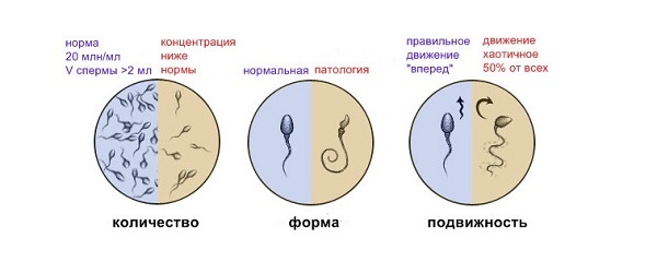 Regras básicas para a preparação de espermatozóides