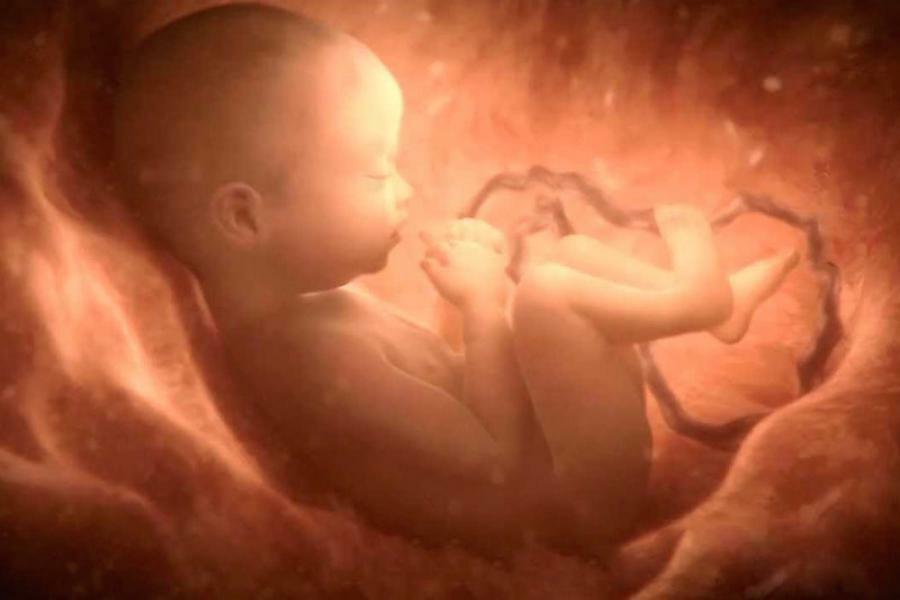 Hipoxia del feto: consecuencias para el niño