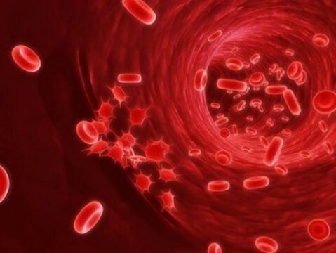 Hemoglobin in the blood