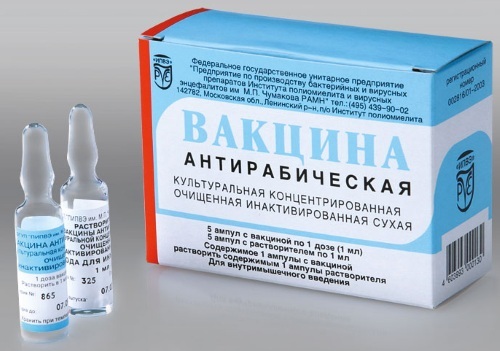 An injection from rabies to a person after a bite. Where to do, side effects, what not to do after, price