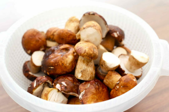 Mushrooms in pancreatitis
