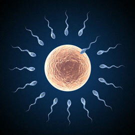 What causes infertility