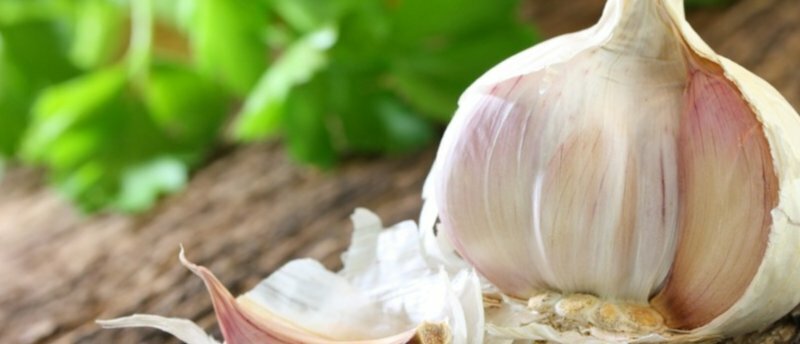 Why is garlic useful for men?