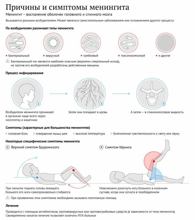 årsager og symptomer på meningoencephalitis