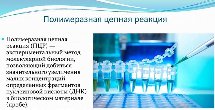 Polymerasekettingreactie (PCR). Wat is het, een methode in microbiologie, geneeskunde, cultuur, uitstrijkje?