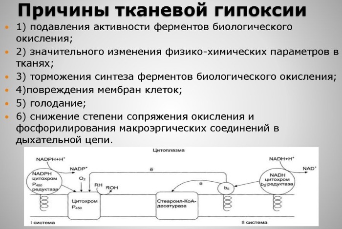 Что такое гипоксия мозга