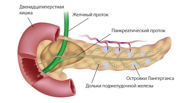 Ako bol donosi u leđima pankreatitis