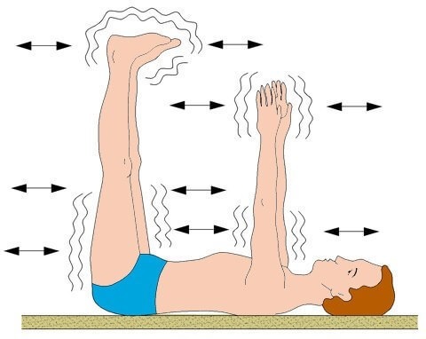 Gimnastičke niše za početnike za kralježnicu, kapilare. 6 zdravstvenih pravila, praktične vježbe