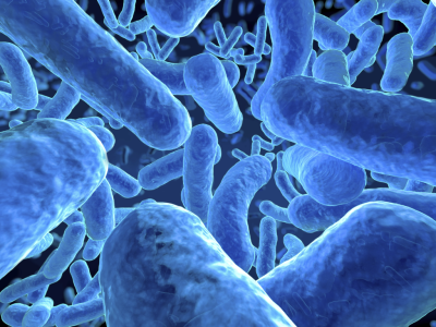 A análise de fezes na disbacteriose de um intestino: como entregar, o que mostra?