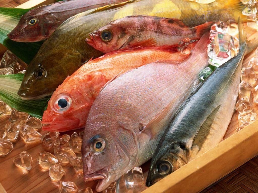 Fiskfettkvaliteter kan förhindra utveckling av reumatoid artrit