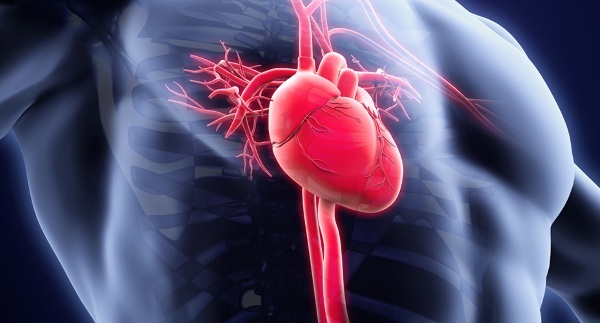 Laste südame läbimõõt. Norm, mis on võrdne aordiklapi puudulikkuse, vatsakeste hüpertroofia, stenoosi korral