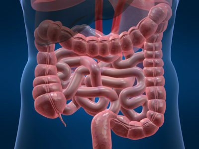 Diarrhea( diarrhea) immediately after eating in adults and children: what to do?