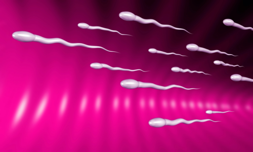 The real facts about stagnation of sperm