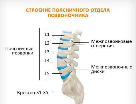 Štruktúra lumbosakrálnej chrbtice