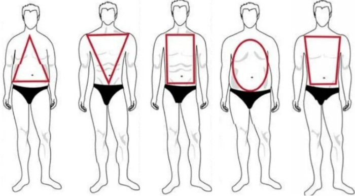Kropstyper hos kvinder, mænd. Anatomi, objektive indikatorer, proportioner, visuel vurdering