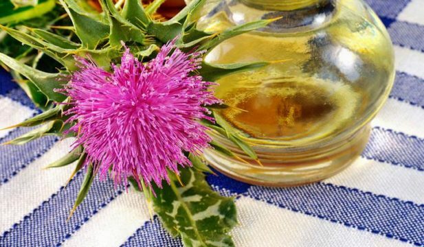 Is it possible to drink milk thistle in pancreatitis?