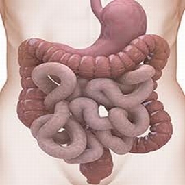 Dysbactériose de l'intestin: traitement et symptômes