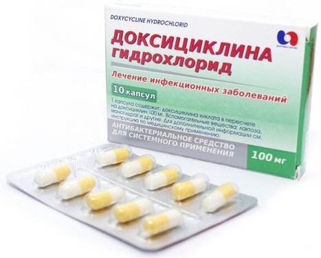 Doxycycline analogs in tablets, capsules without a prescription. Price, reviews