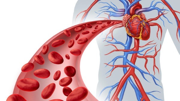 Medicin til styrkelse af blodkar: vægge, vener i hjernen, hjerte, næse, ben. Priser
