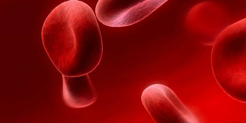 Por que baixa hemoglobina no sangue - as principais causas e conseqüências
