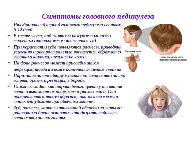 Symptoms of pediculosis in children