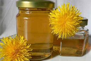 Effective medications from dandelions in joint diseases