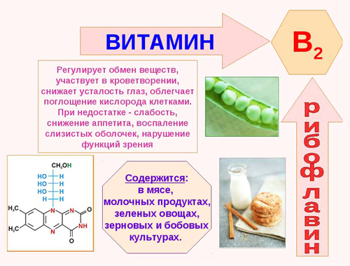 Animal Pak es un complejo de vitaminas y minerales. Cómo tomar, composición, precio.