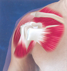 Enfermedades de la articulación del hombro