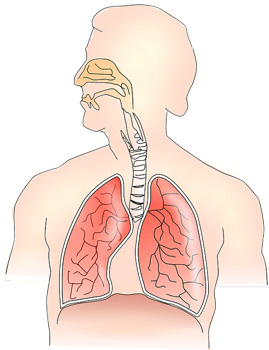 Hengitysteiden infektiot