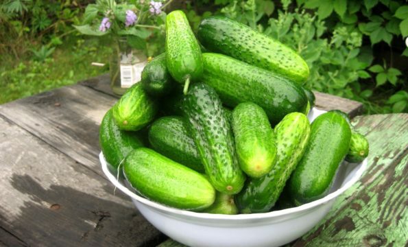Tomatoes and cucumbers in pancreatitis