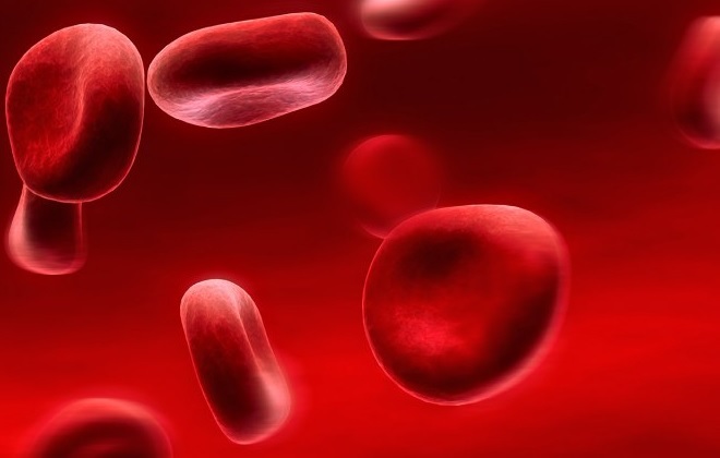 Enlarged blood cells