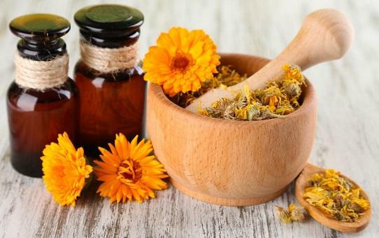 Tincture of calendula strengthens the protective function of the body