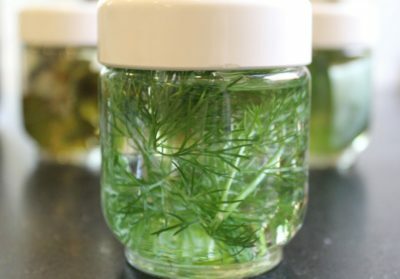 Does dill water help babies from colic?